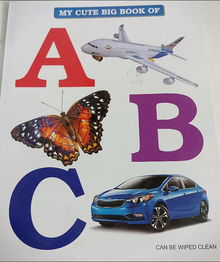 ABC, BIRDS, TRANSPORT, BODY PARTS, AND INSECTS Picture Book-Pack of 5