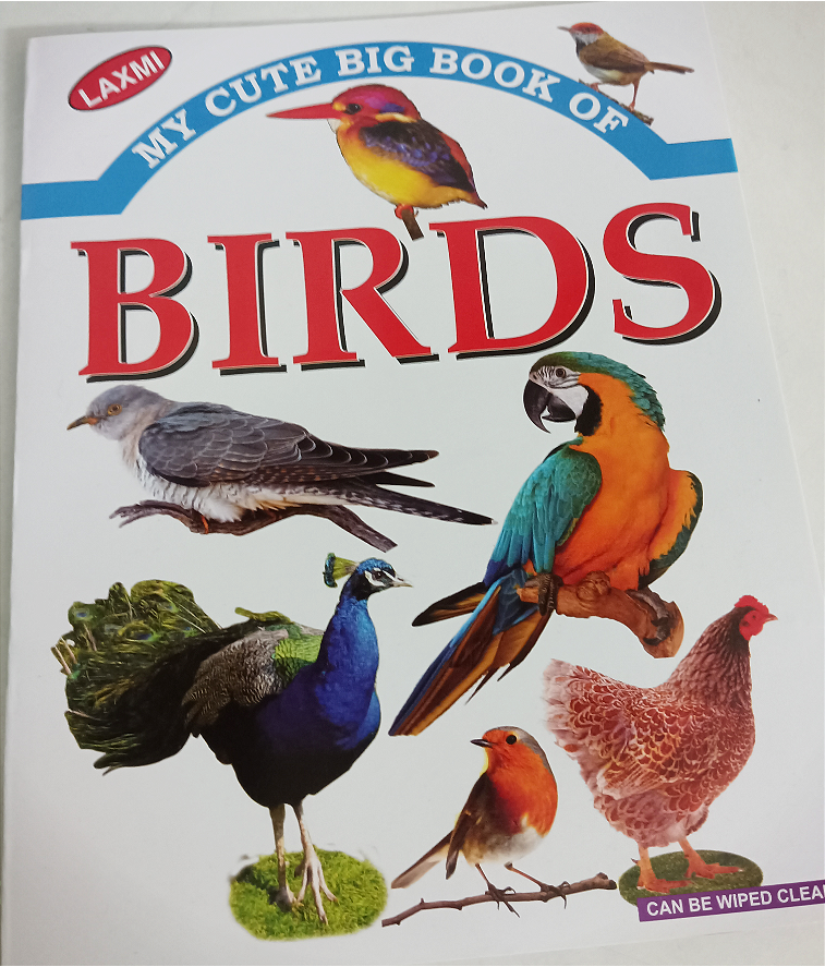 ABC, BIRDS, TRANSPORT, BODY PARTS, AND INSECTS Picture Book-Pack of 5