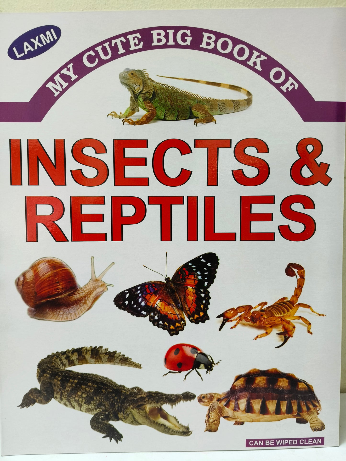 ABC, BIRDS, TRANSPORT, BODY PARTS, AND INSECTS Picture Book-Pack of 5