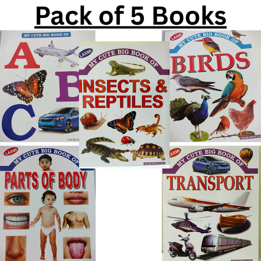 ABC, BIRDS, TRANSPORT, BODY PARTS, AND INSECTS Picture Book-Pack of 5